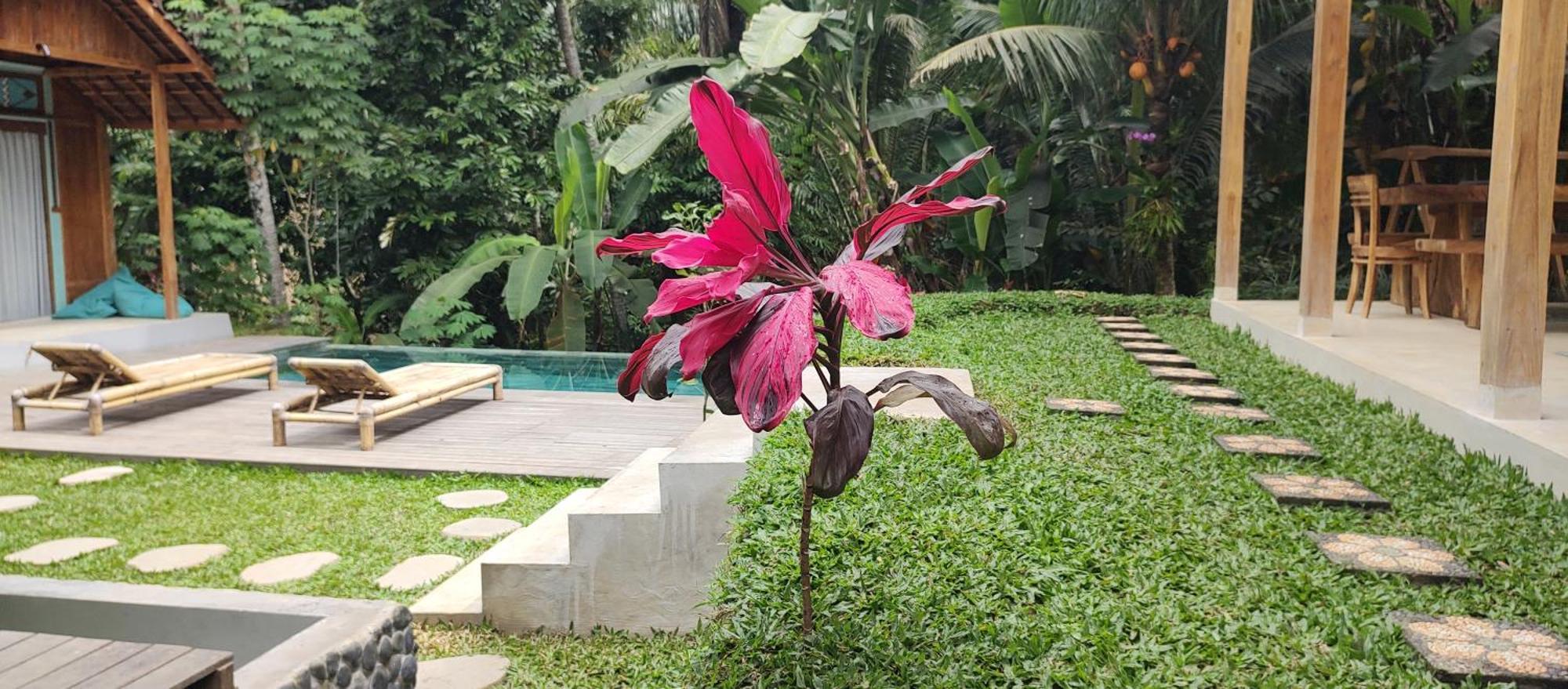 Rumah Guci Ubud Esterno foto