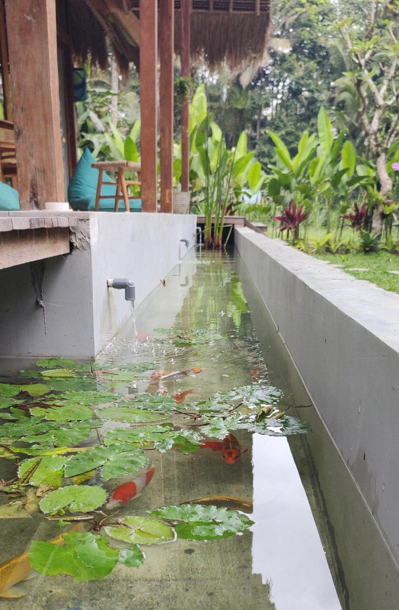 Rumah Guci Ubud Esterno foto
