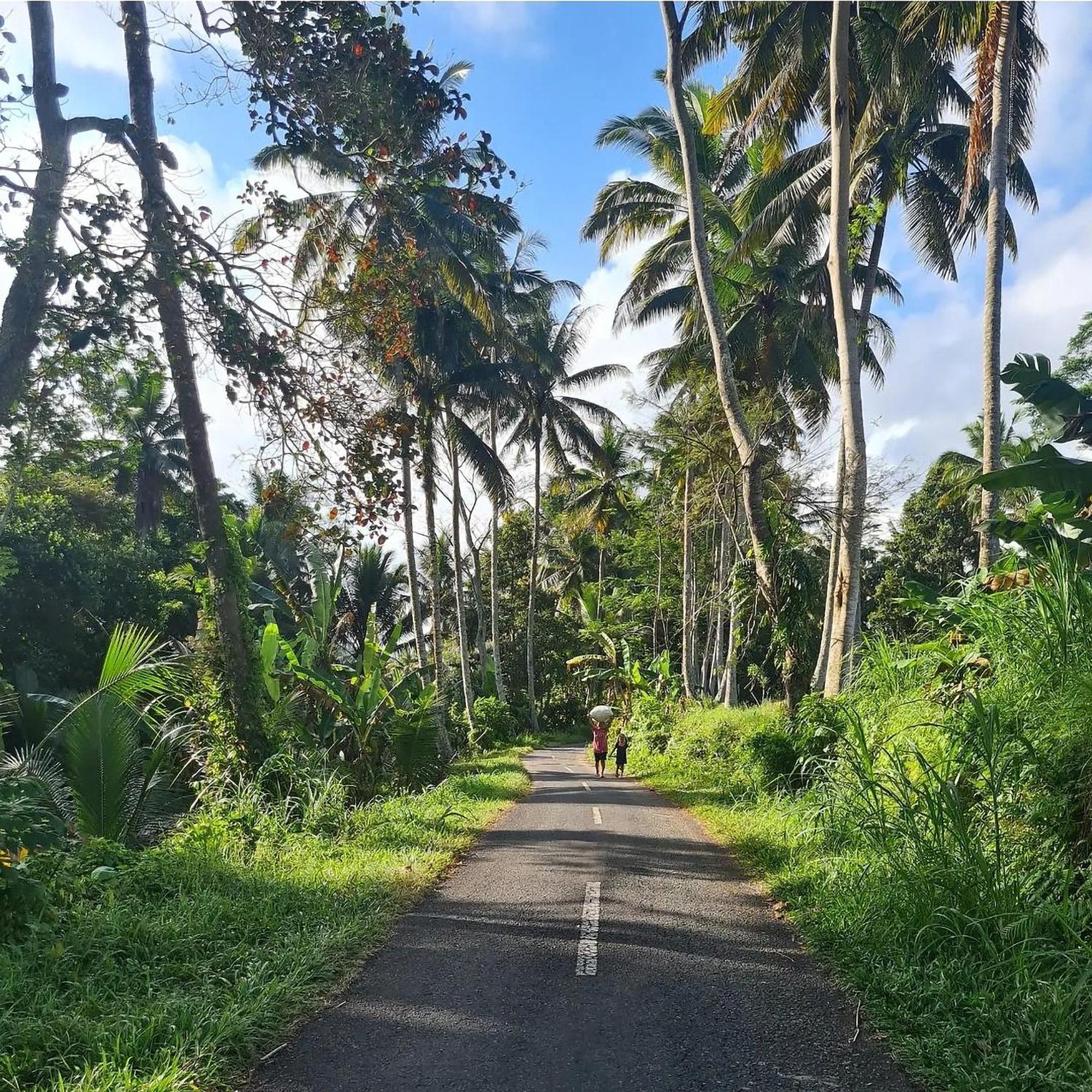 Rumah Guci Ubud Esterno foto